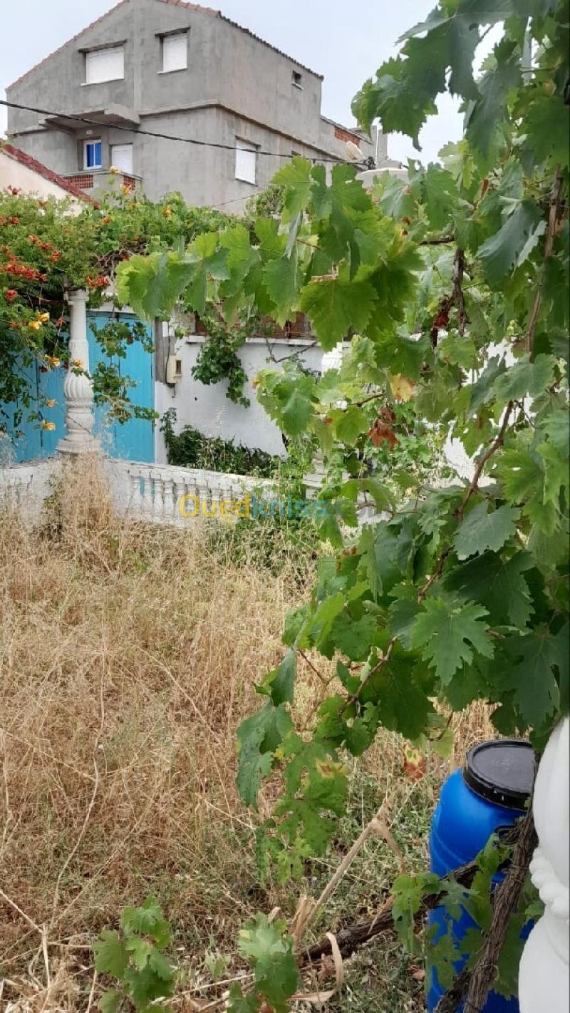 Vente Villa Boumerdès Djinet 9