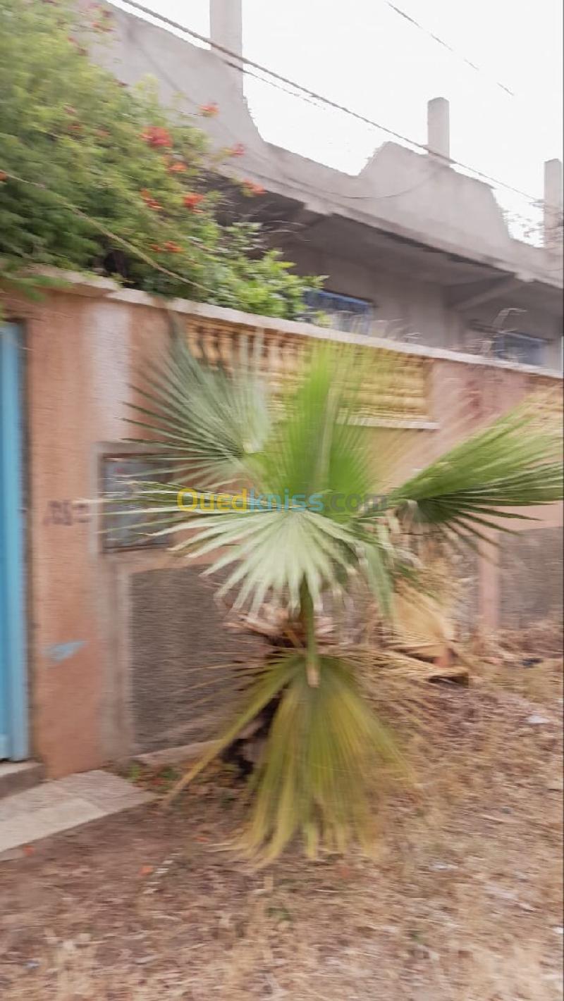 Vente Villa Boumerdès Djinet 3