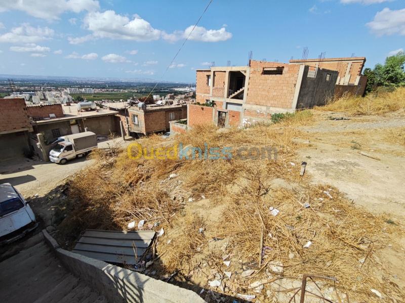 Vente Terrain Blida Larbaa 3
