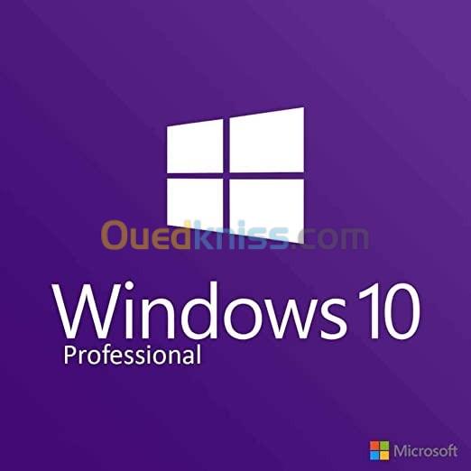 Windows 10 / 11 professional