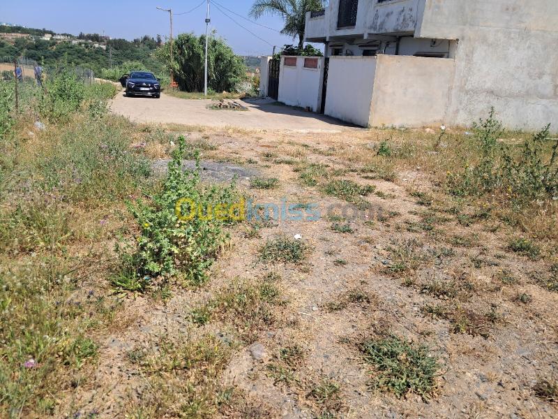 Vente Terrain Alger El achour