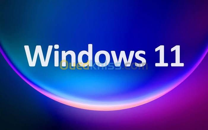  Windows 11 Professional 