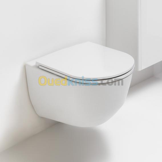 Pack Cuvette WC Suspendue SMYLE Carene GEBERIT Rimfree Alger Algérie