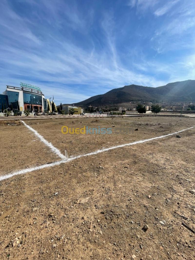 Vente Terrain Aïn Defla Ain defla 3