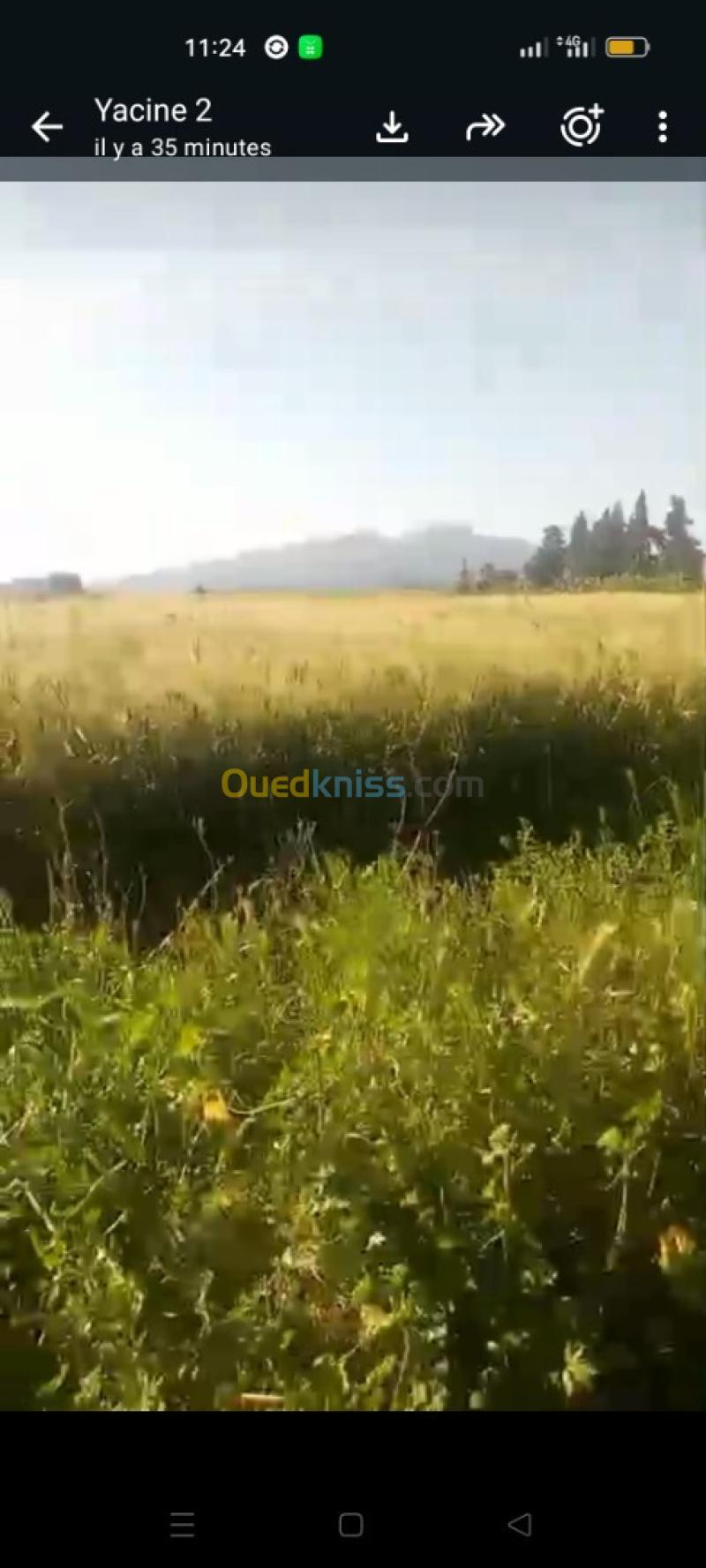 Vente Terrain Agricole Tipaza Hadjout 2