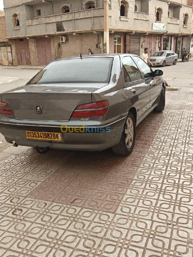 Peugeot 406 2003 406 5