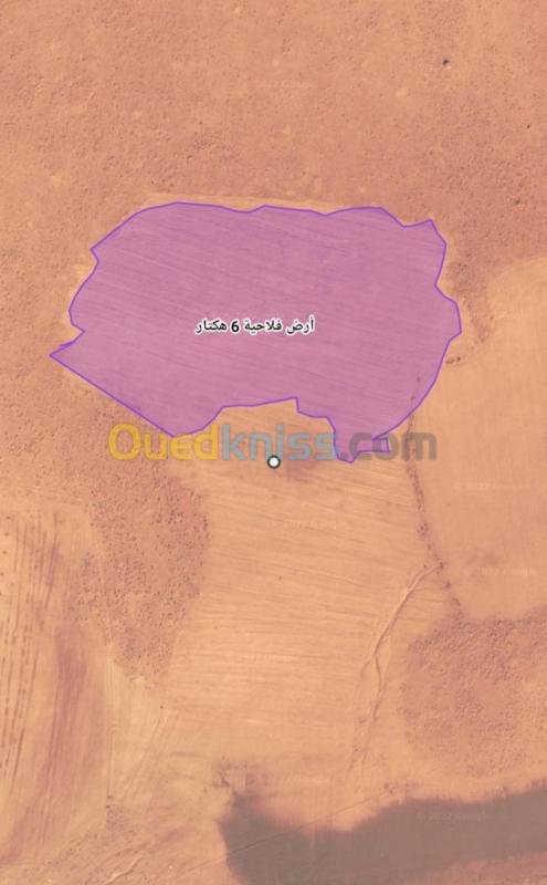  Location Terrain Agricole El bayadh Kef el ahmar