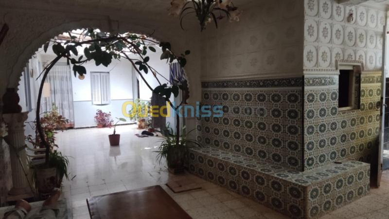 Vente Terrain Tlemcen Tlemcen 3