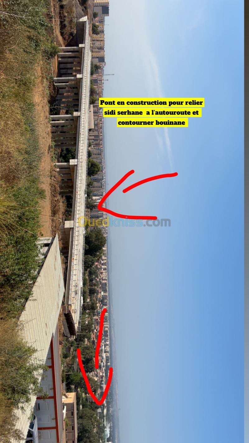 Vente Terrain Blida Bouinan 8