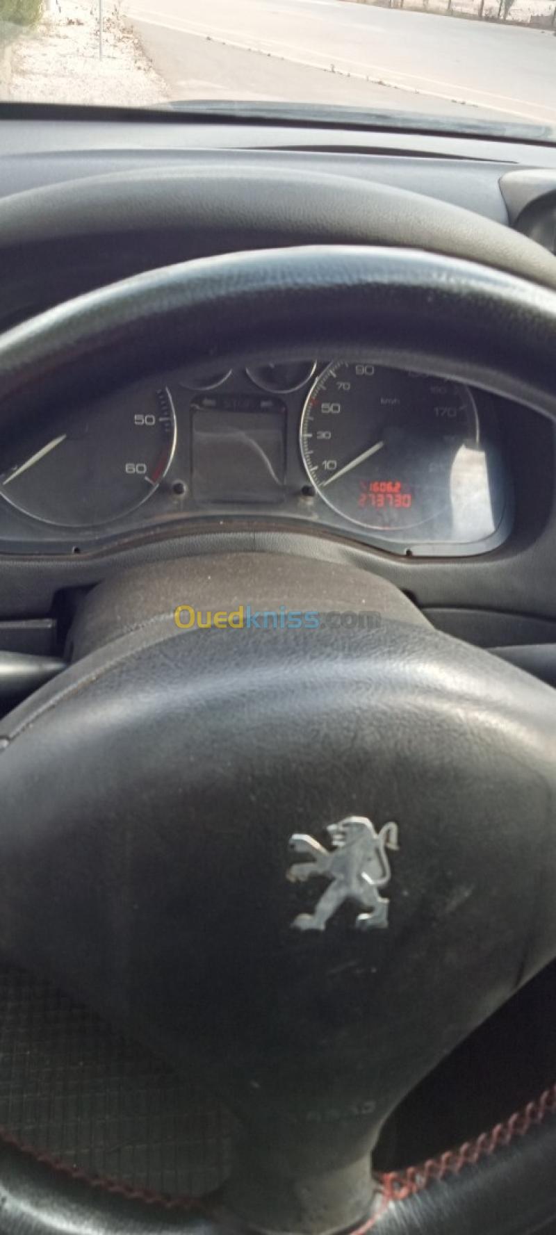 Peugeot 307 2006  10