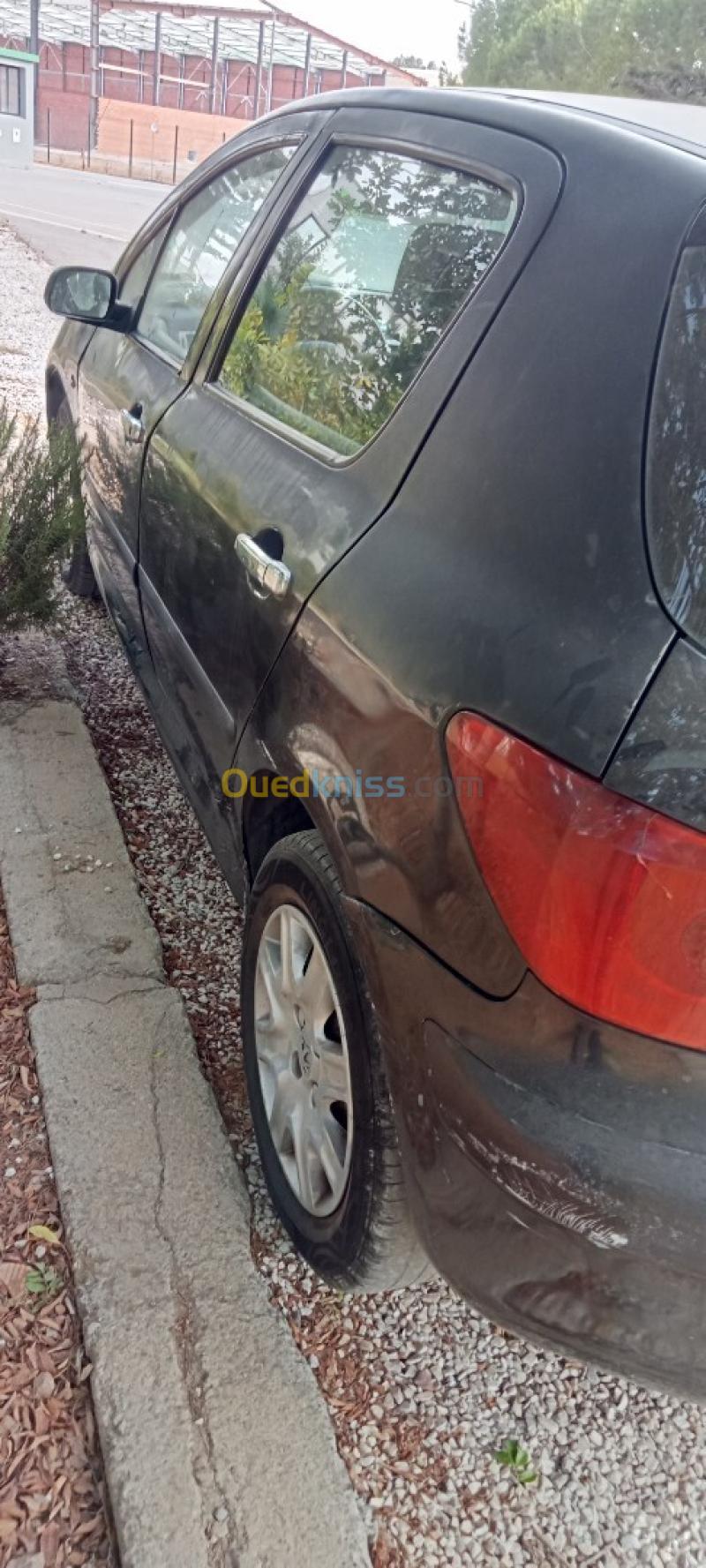 Peugeot 307 2006  5