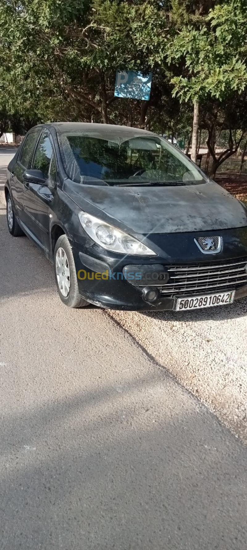 Peugeot 307 2006 