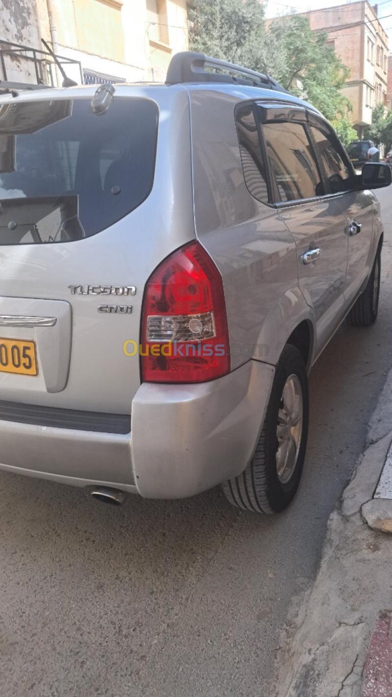 Hyundai Tucson 2010  5