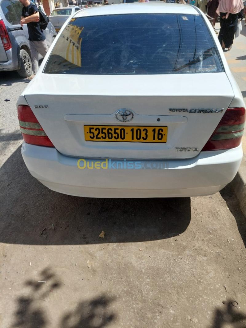 Toyota Corolla 2003  5
