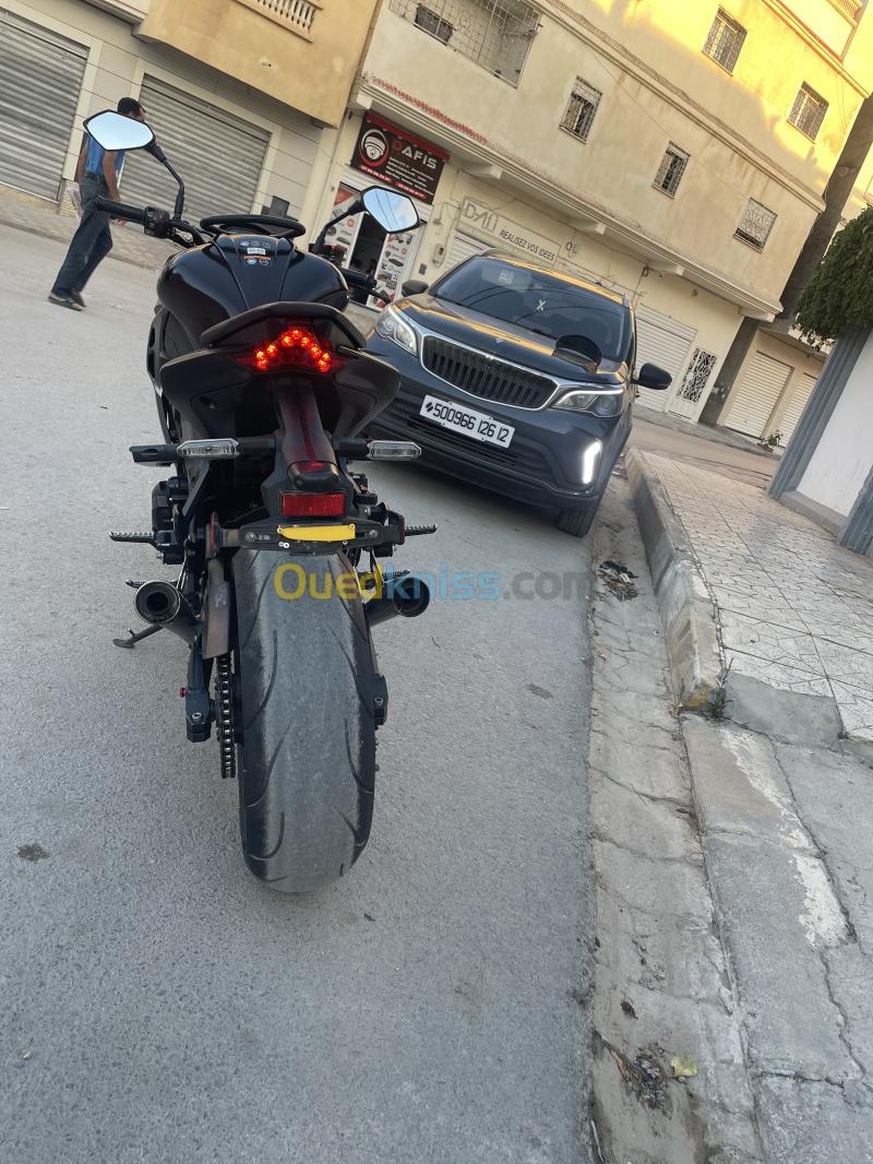 Kawasaki Z1000 2019