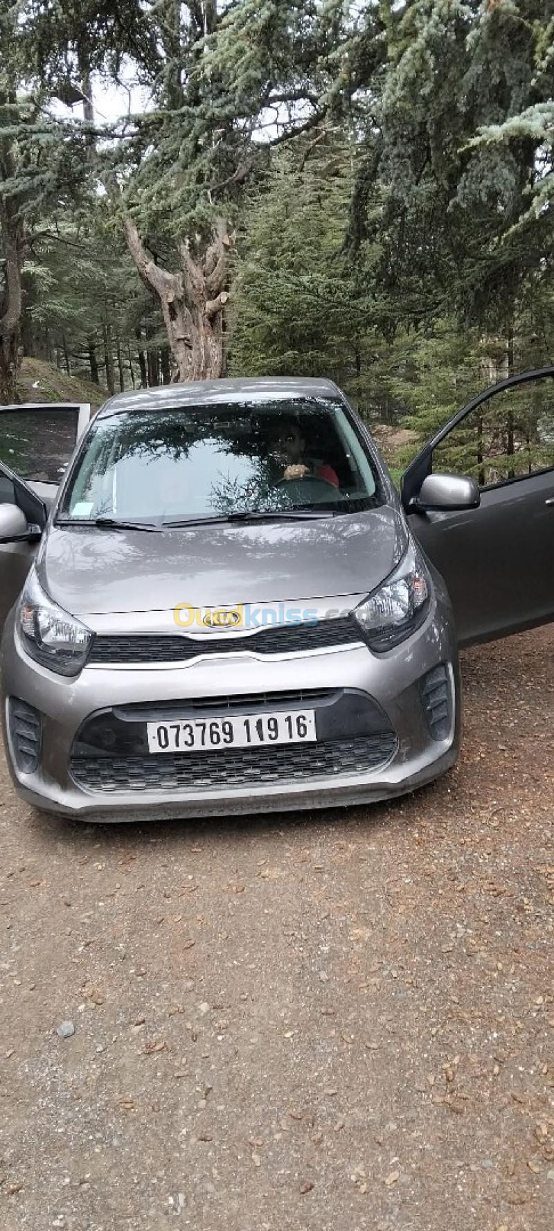 Kia Picanto 2019 EX 3