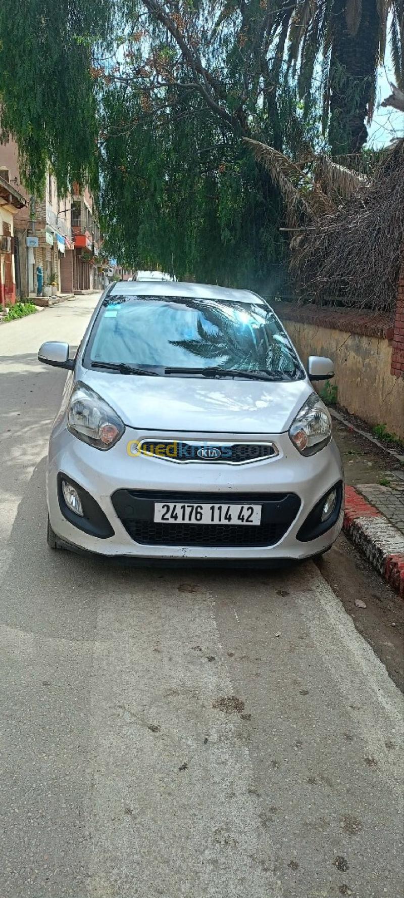 Kia Picanto 2014 Bob