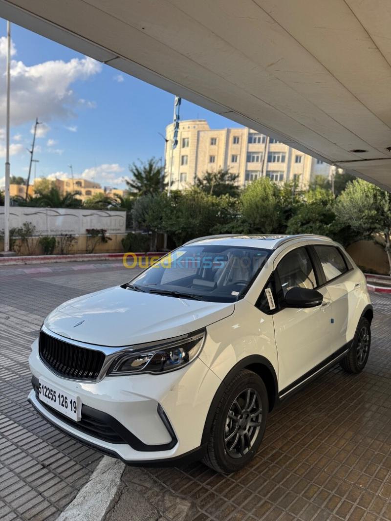 Livan X3 Pro  2026 Automatique (Avec toi ouvrant ) 4