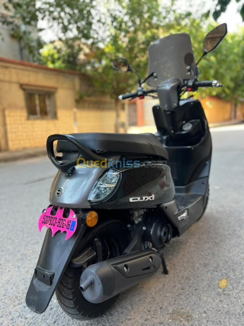 Cuxi Cuxi 1 2026 4