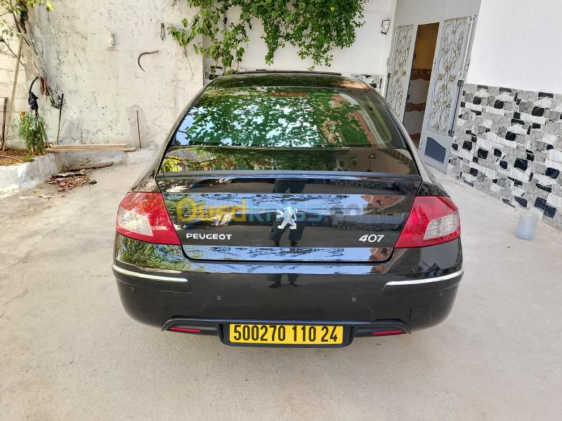 Peugeot 407 2010 407 14