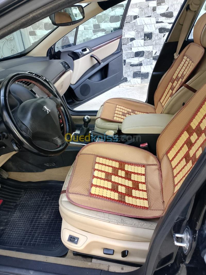 Peugeot 407 2010 407 11