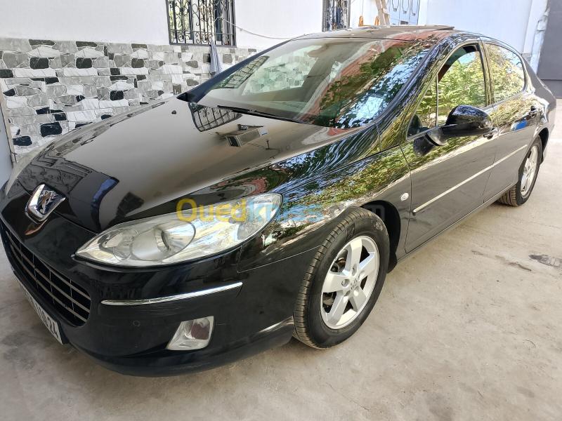 Peugeot 407 2010 407 18
